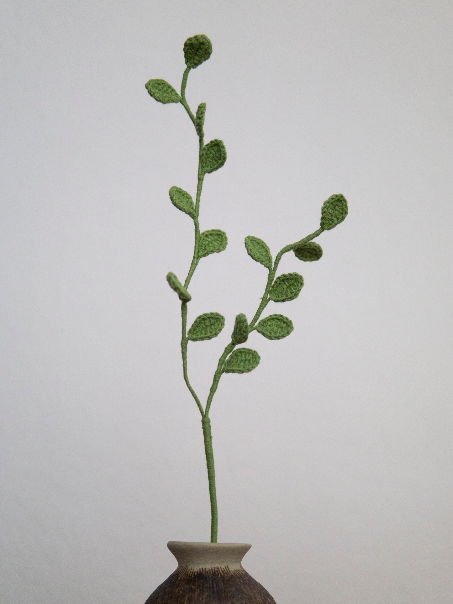 Twin-Stem Evergreen