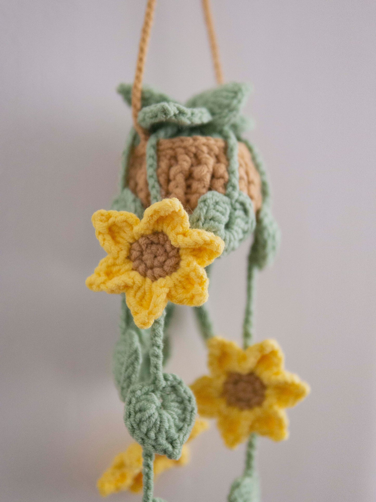 Sunflower Trail in Hanging Basket