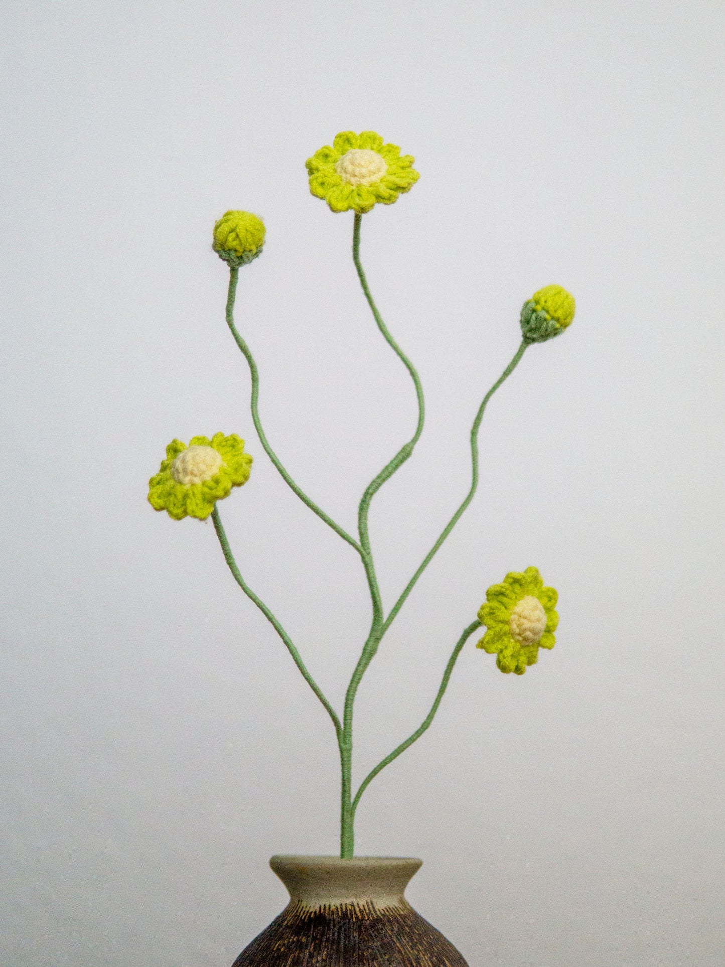 Grass Green Spray Daisy