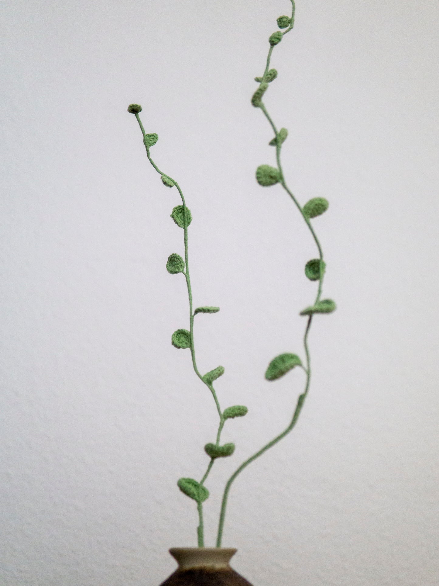 Eucalyptus Garland Extra-Long