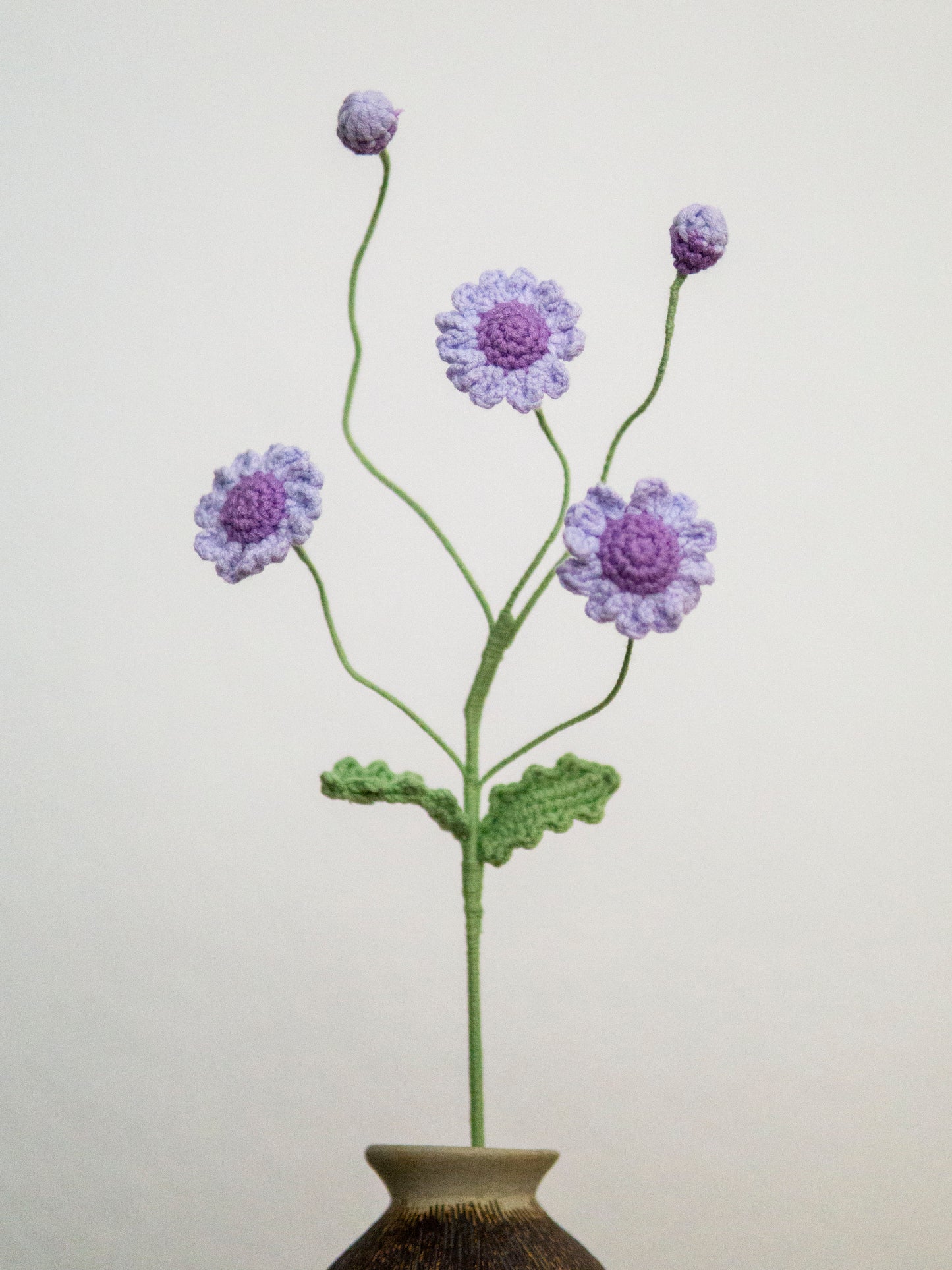 Lavender Spray Daisy