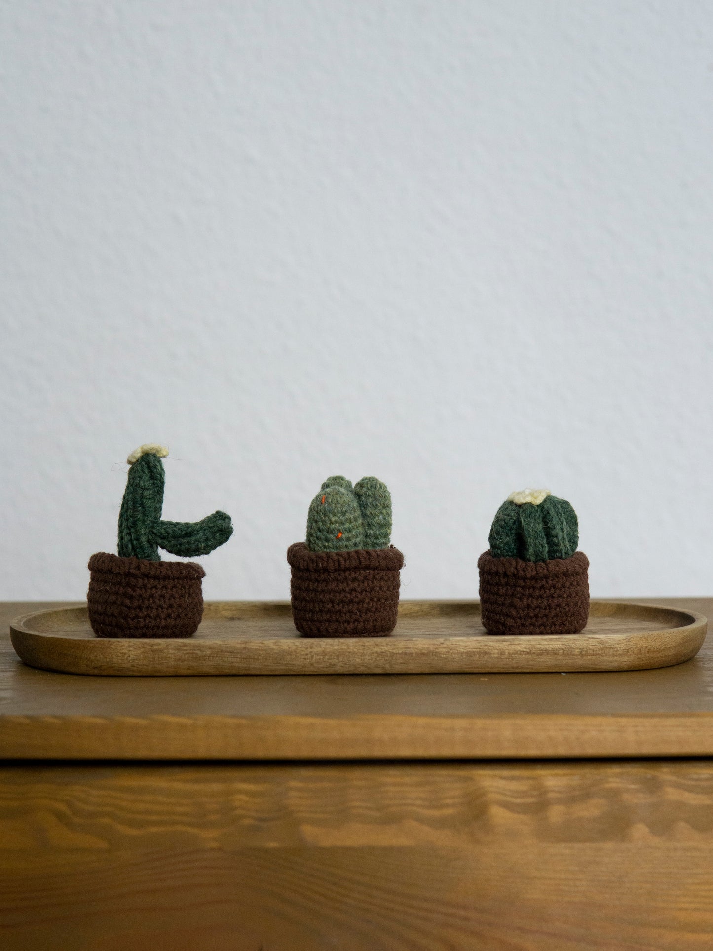Cactus D