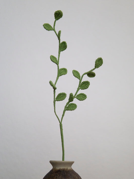 Twin-Stem Evergreen