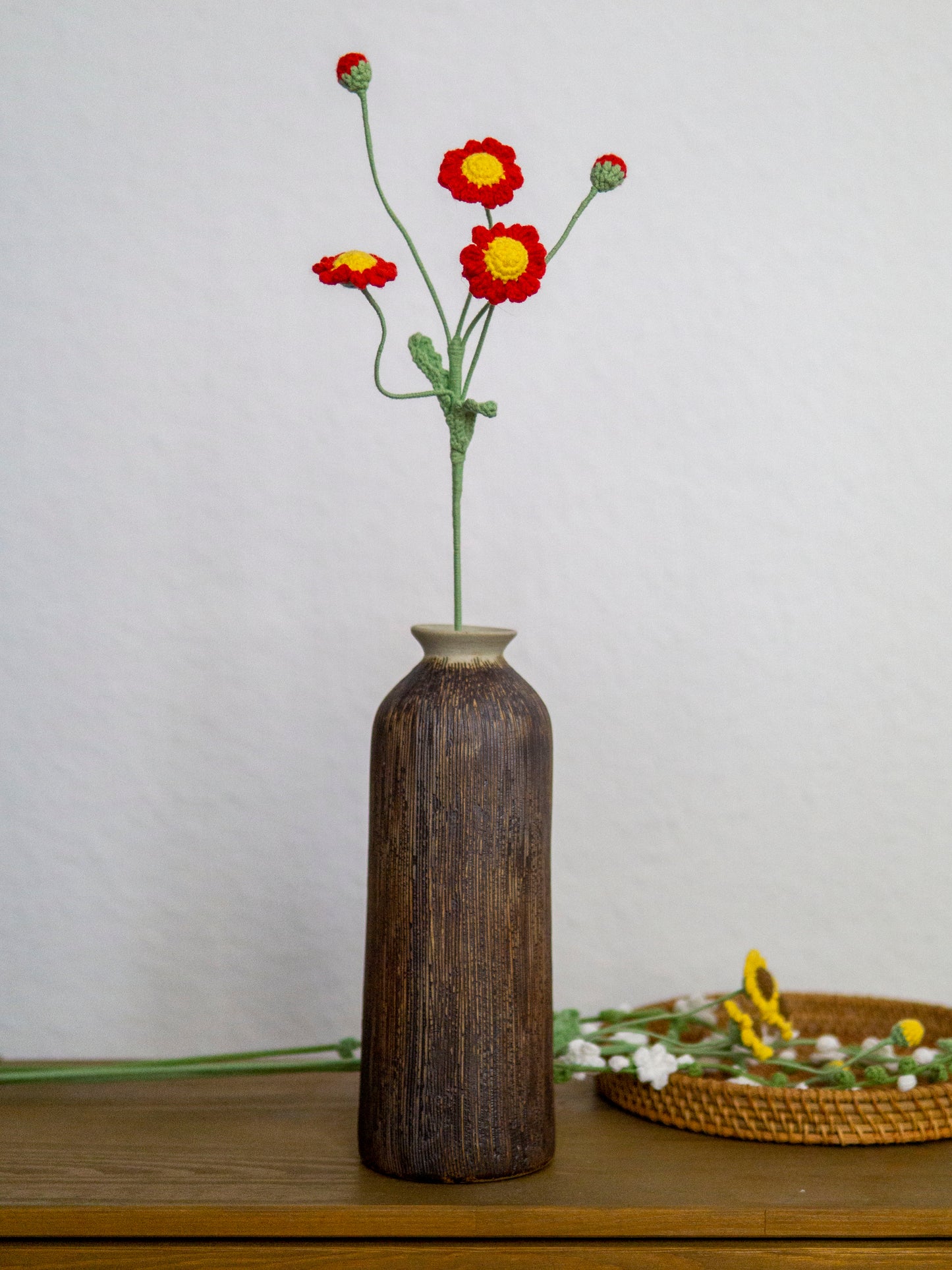 Crimson Spray Daisy