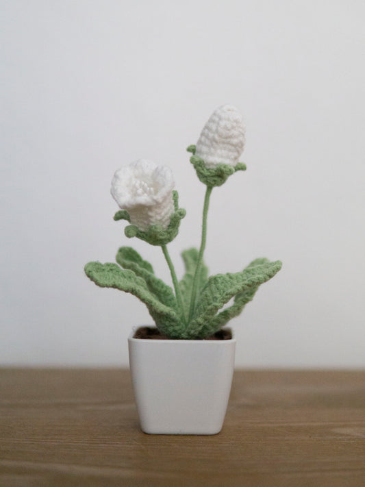 Little Trumpet Flower Bonsai