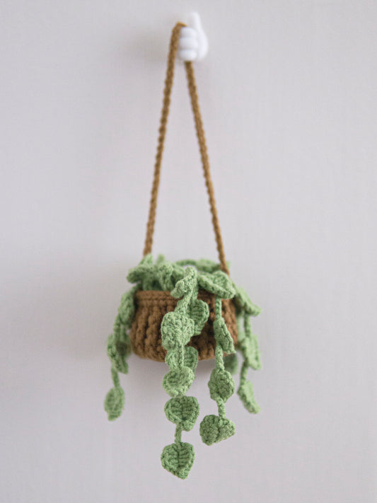 Hanging Pothos Plant