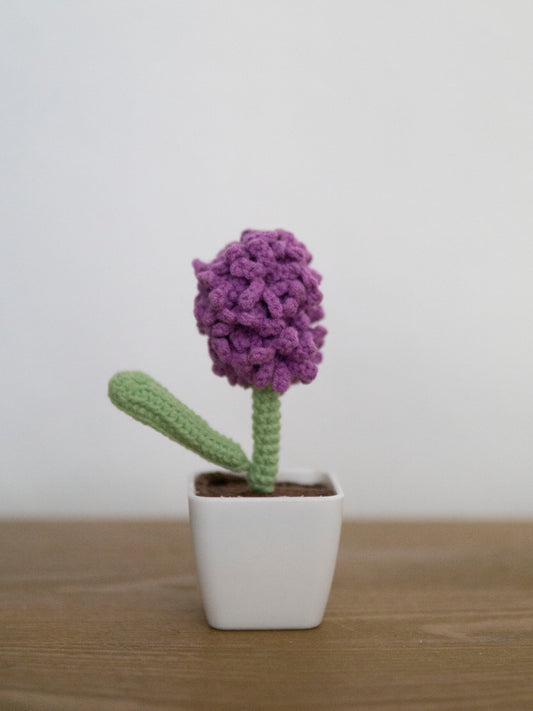 Lavender Bonsai