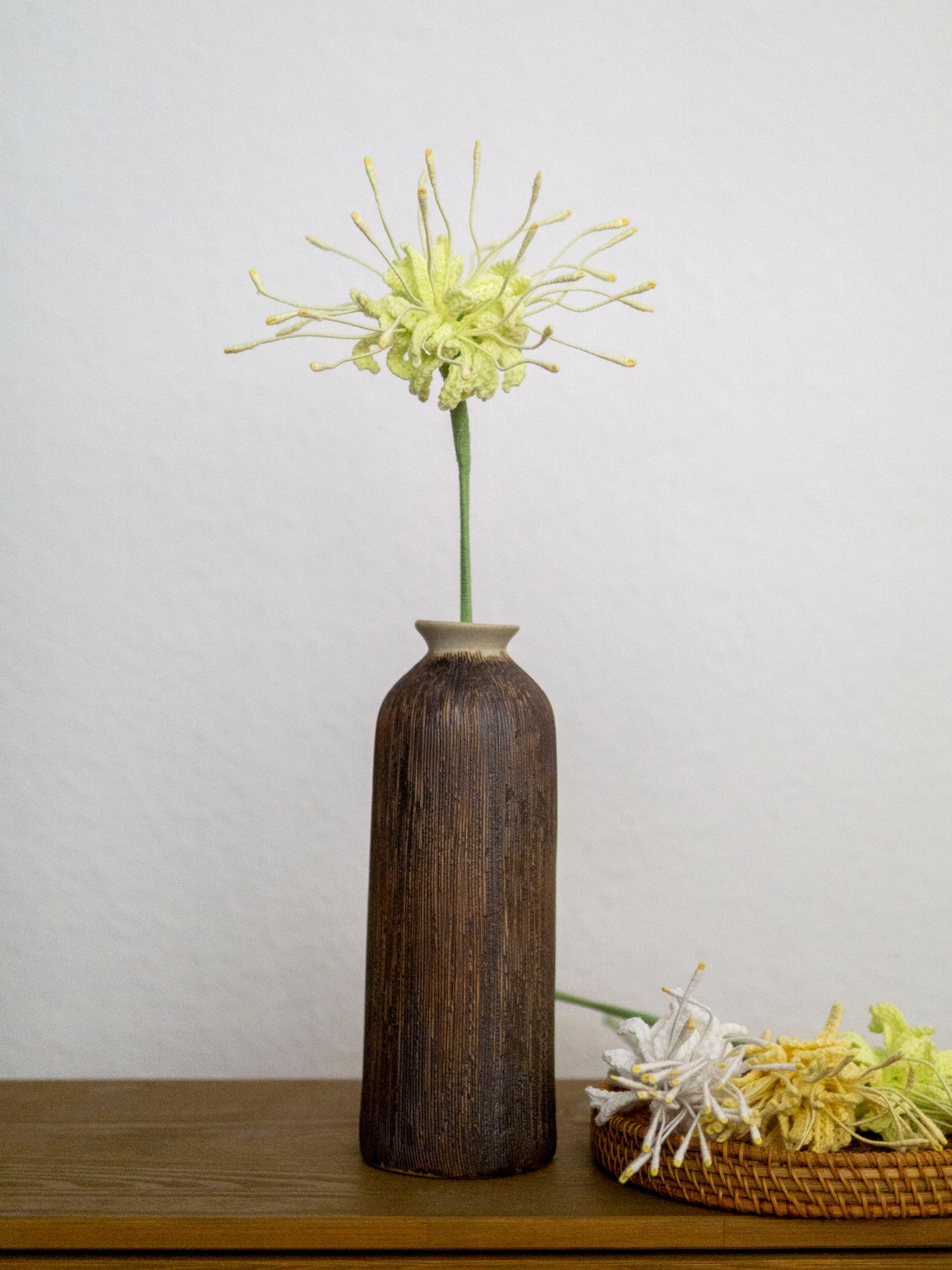 Verdant Spider Lily