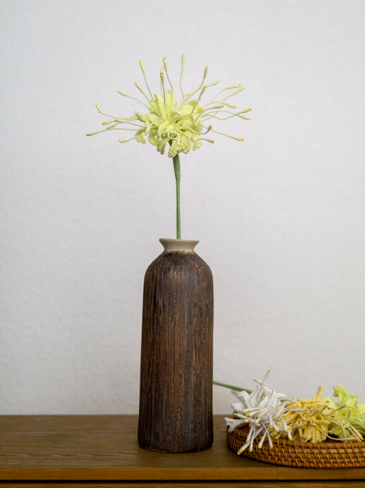 Verdant Spider Lily