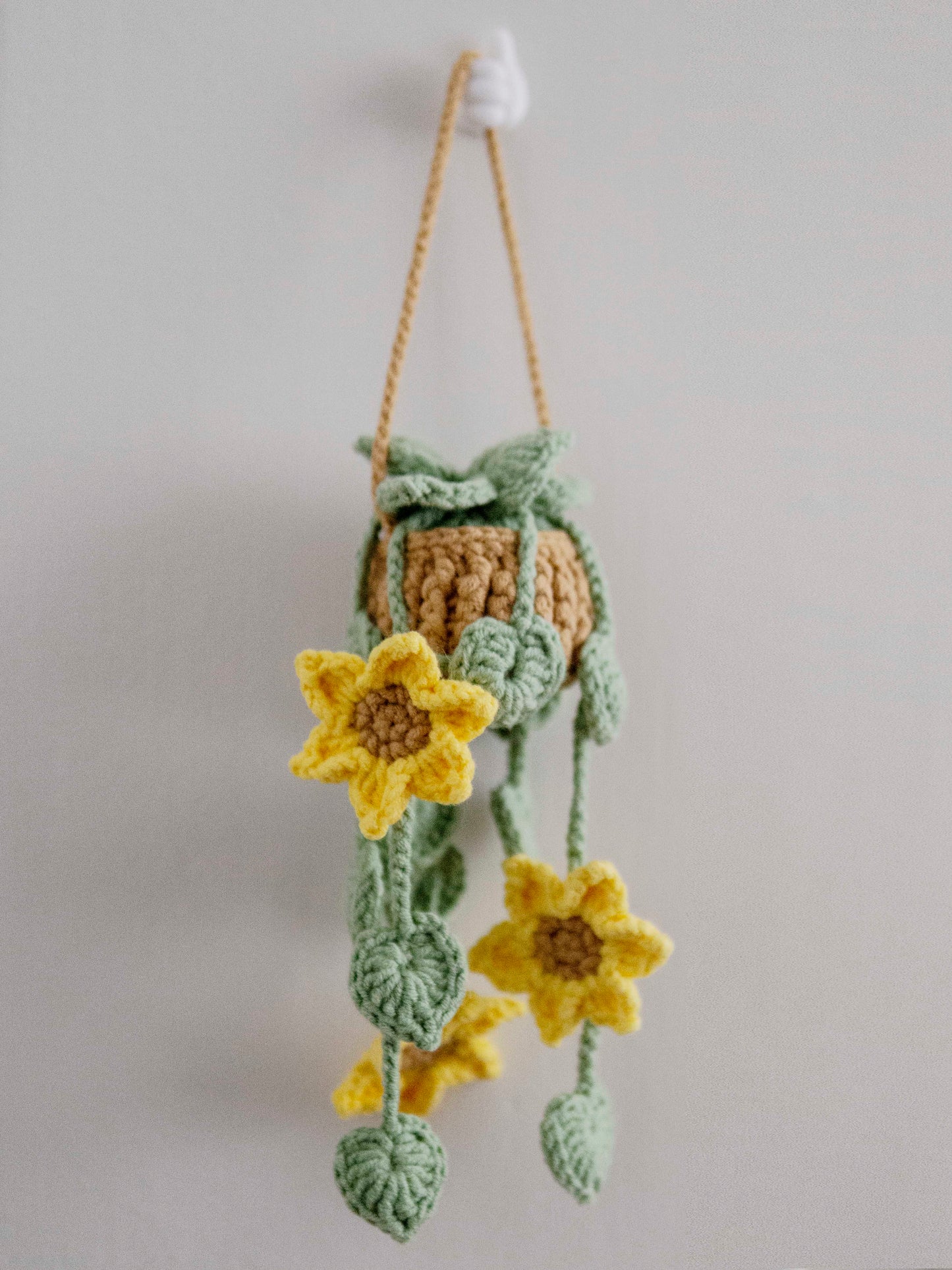 Sunflower Trail in Hanging Basket