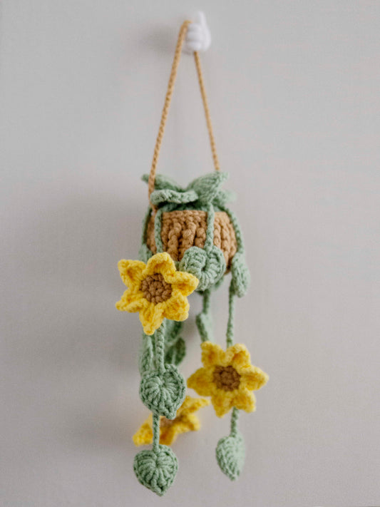 Sunflower Trail in Hanging Basket