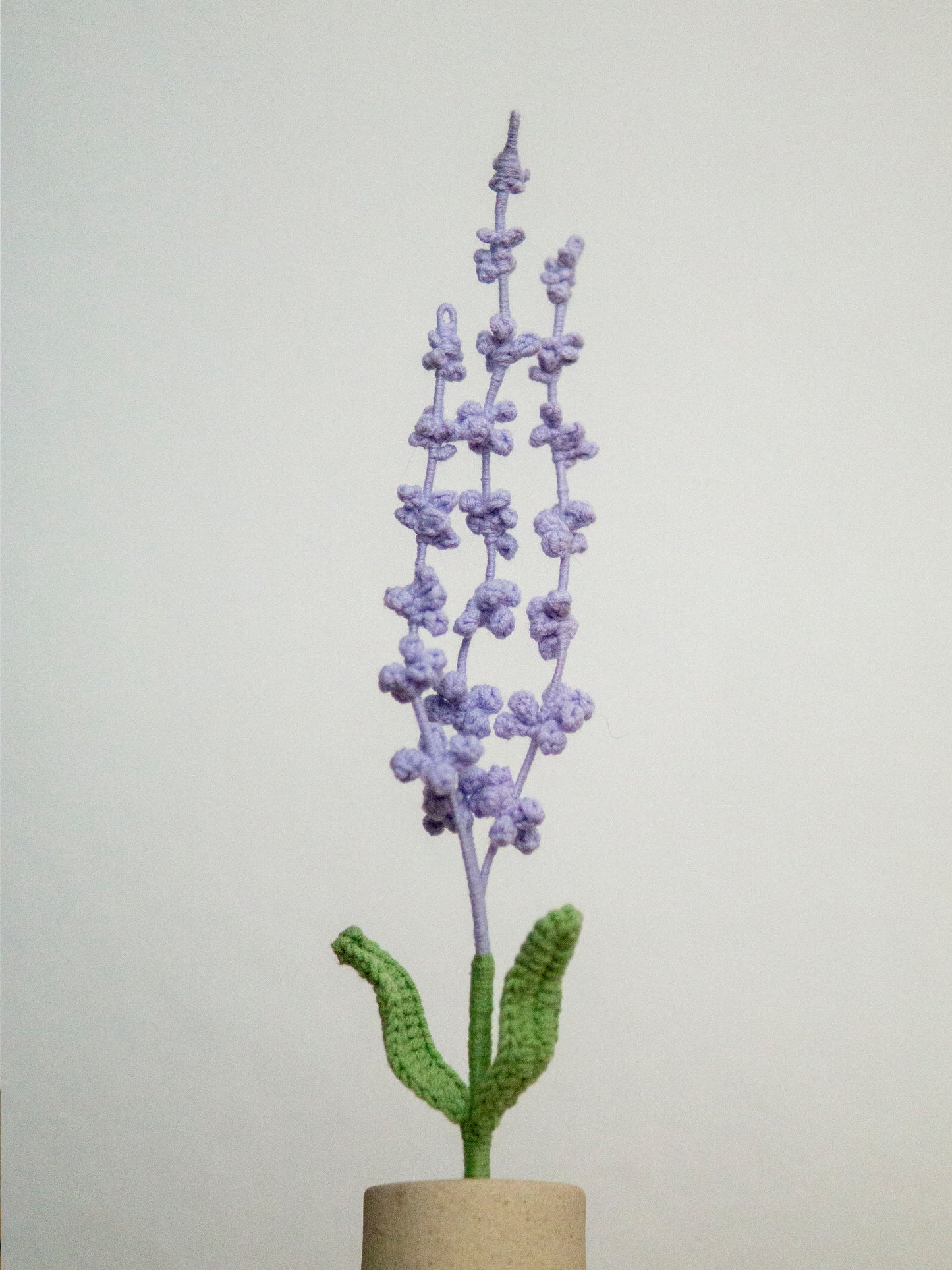 Lilac Mist Lavender