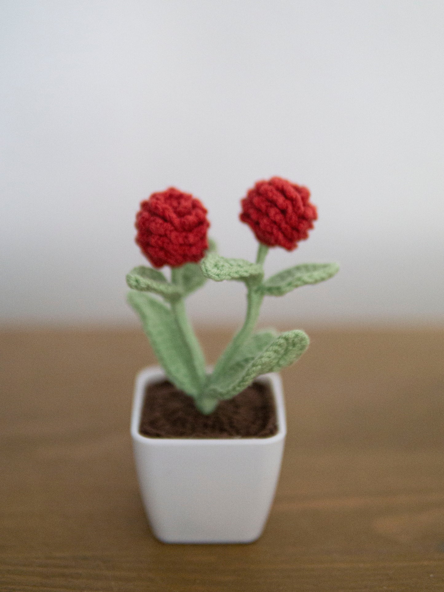 Red Berry Bonsai
