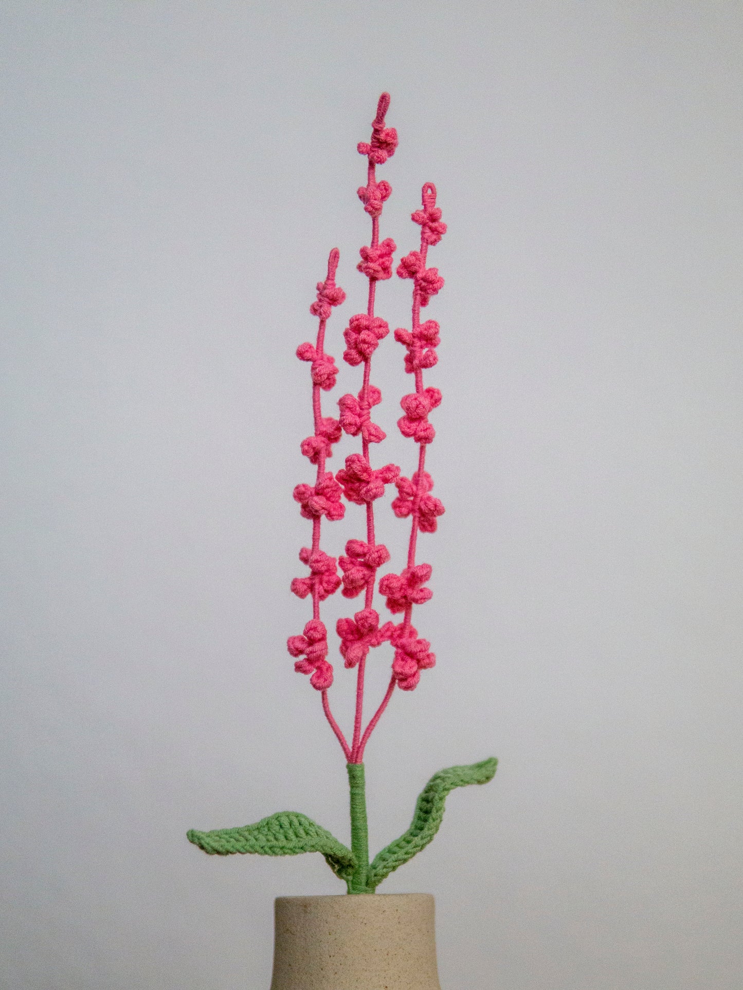 Flamingo Lavender