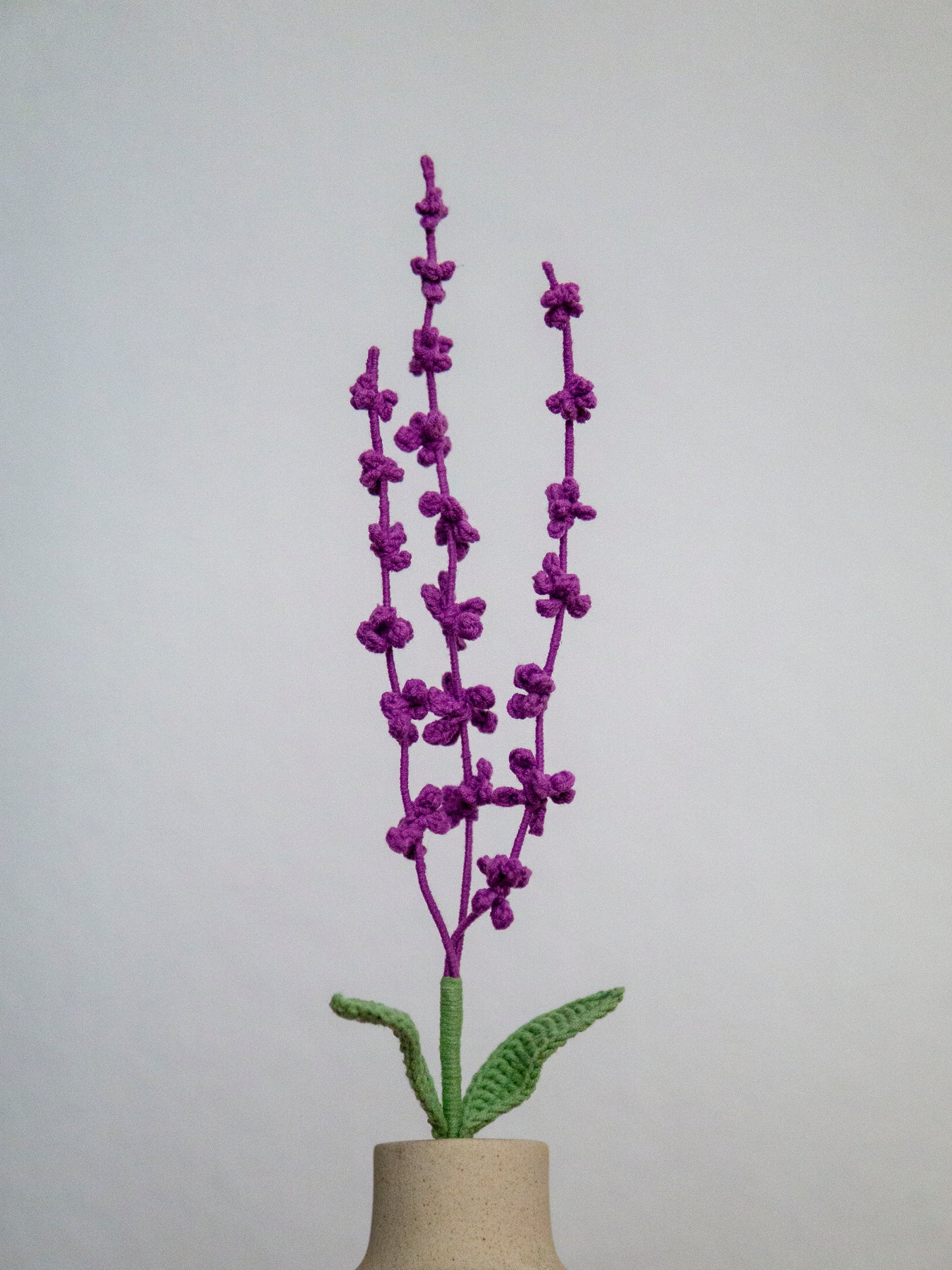 Bright Purple Lavender