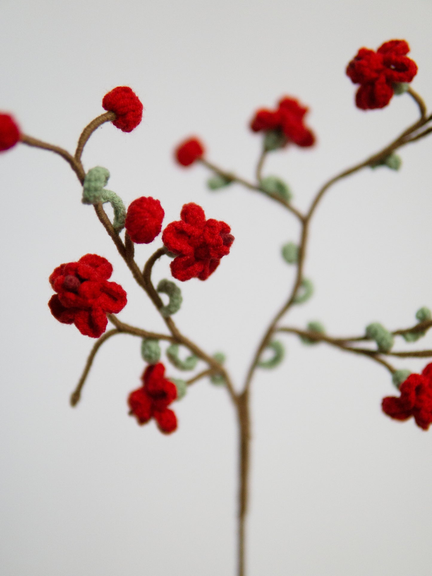 Ruby Waxflower