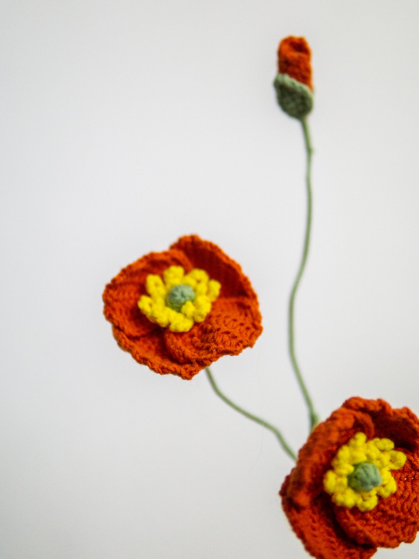 Poppy Cinnamon
