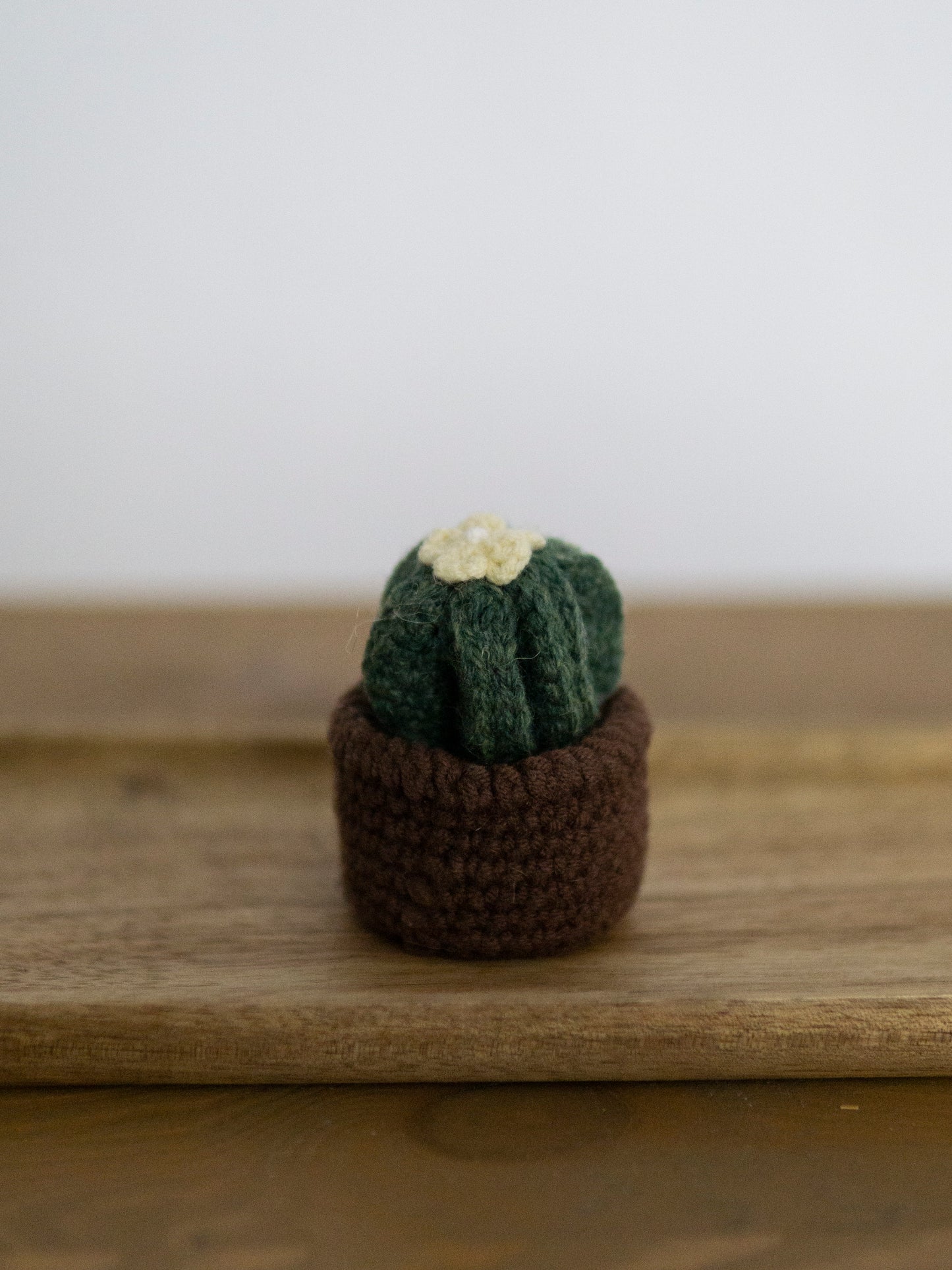 Cactus D